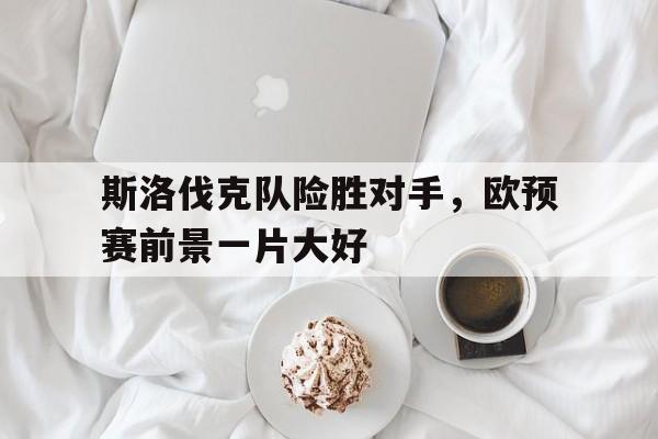 斯洛伐克队险胜对手，欧预赛前景一片大好